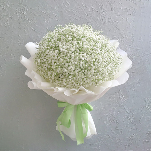 Silent Stars — Baby’s Breath Serenade